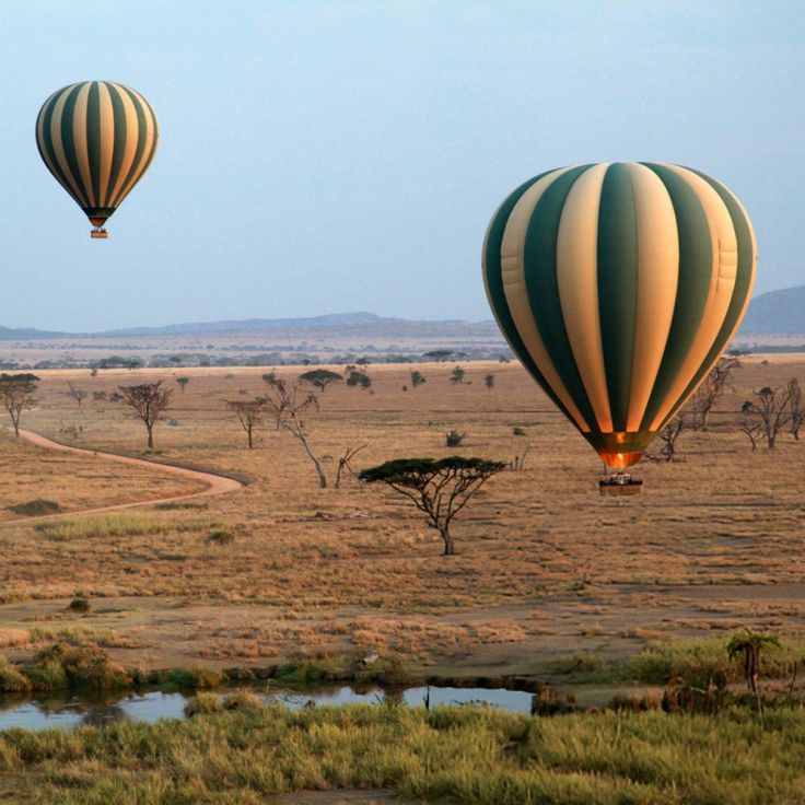 Hot Air Balloon Safari