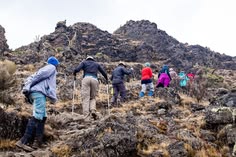 Kilimanjaro Trekking Experience