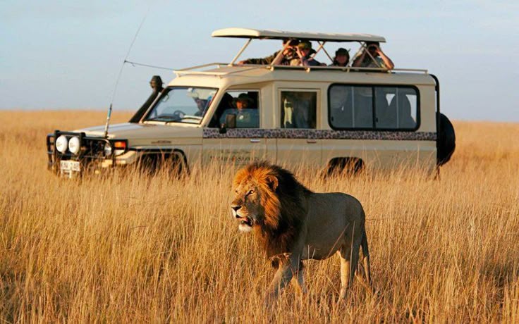 Tarangire National Park