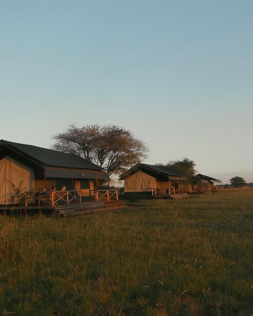 Accomodation In Serengeti