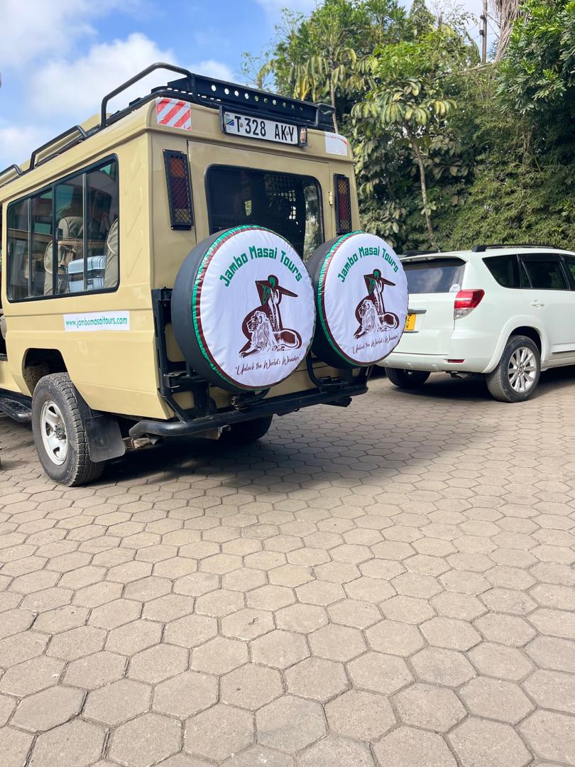 Tanzania Safari Adventures with Jambo Masai Tours