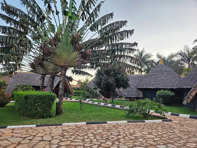 Safari Haven Migration Camp