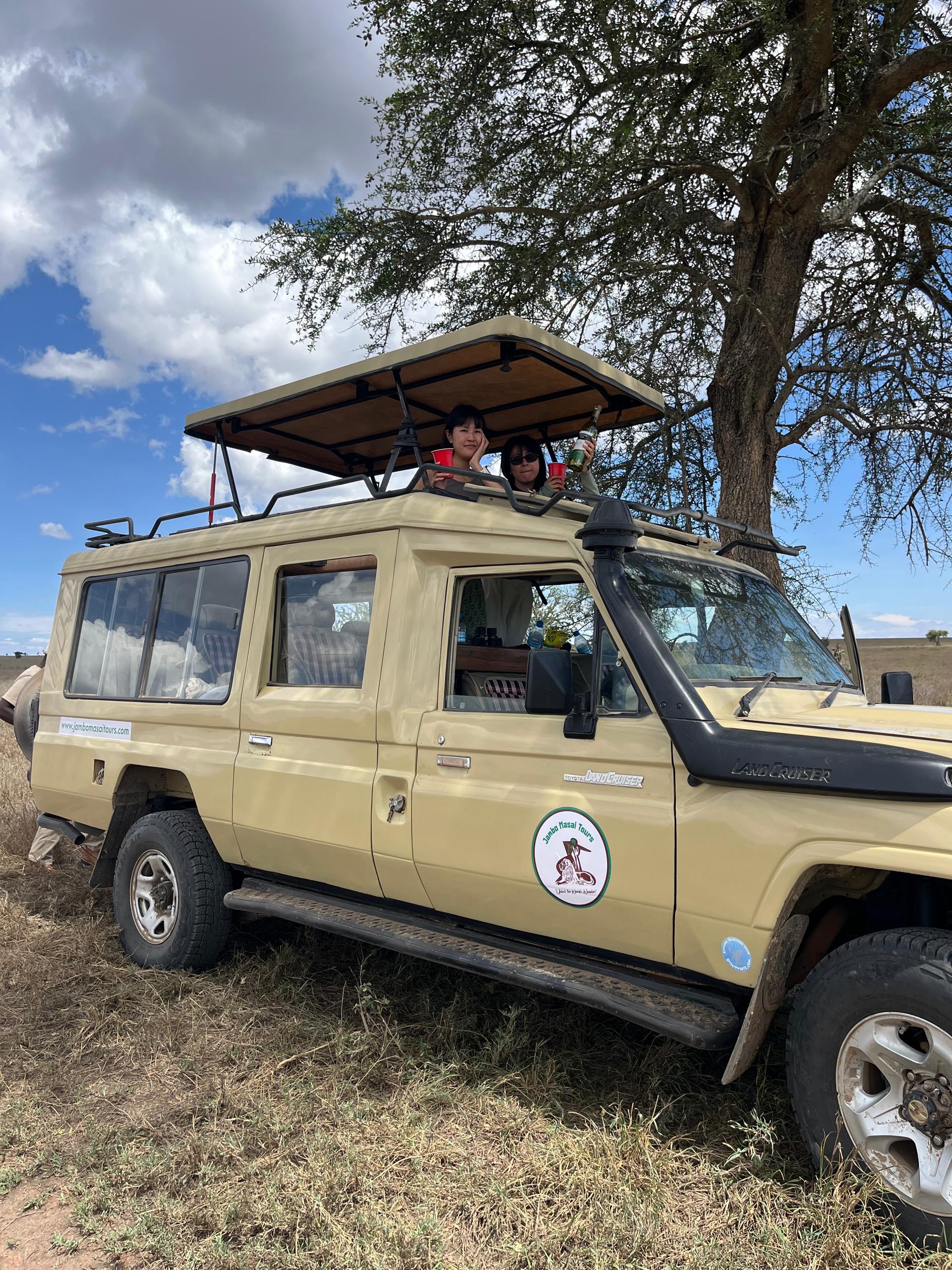 Safari Jeep