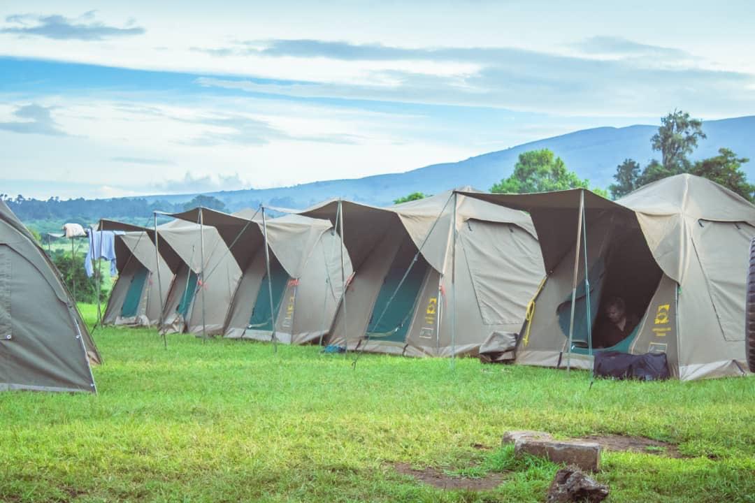 Tents For Camping Safari