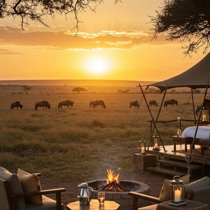 Sunset at Serengeti