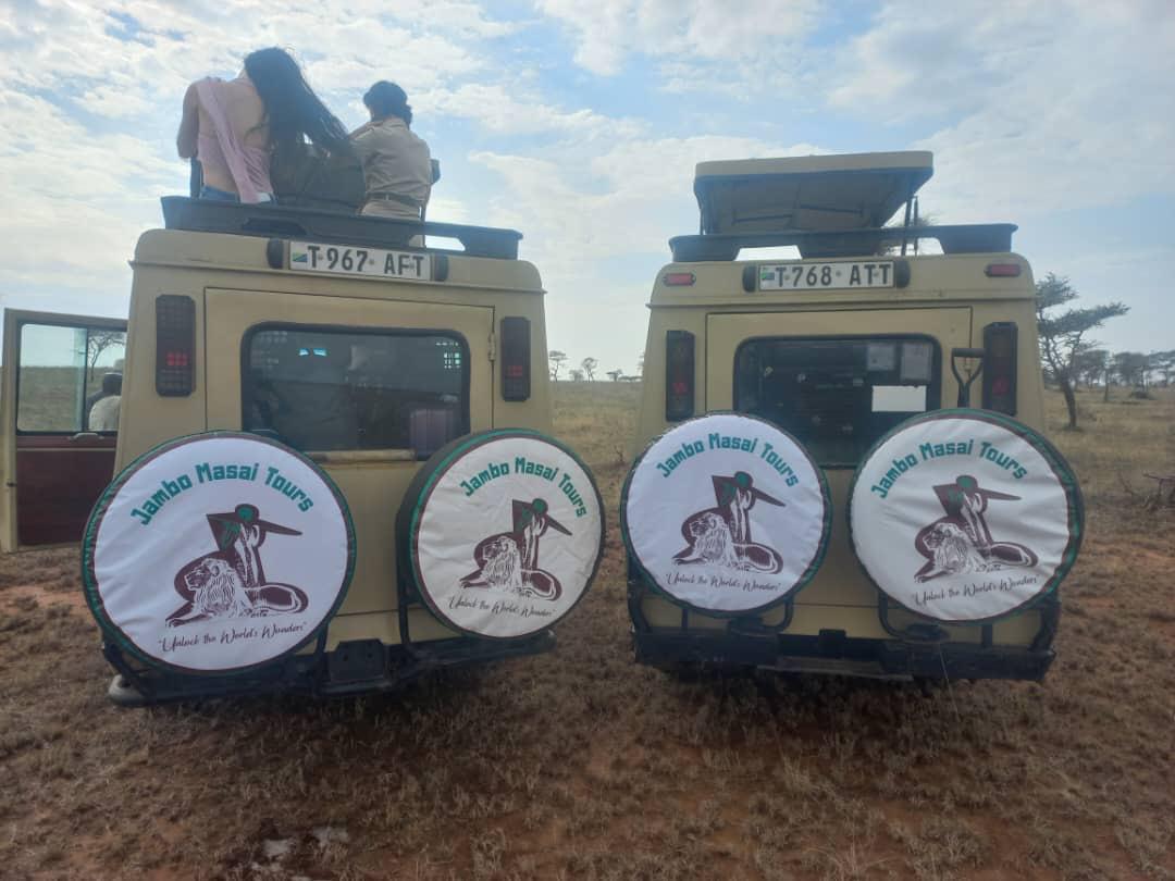 Our Safari Vehicle