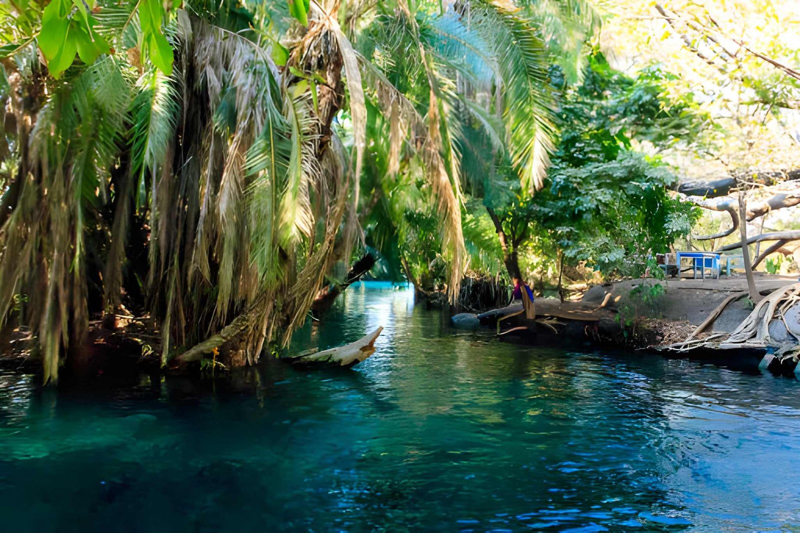 Crystal-clear turquoise water stream flowing through a lush forest canopy.