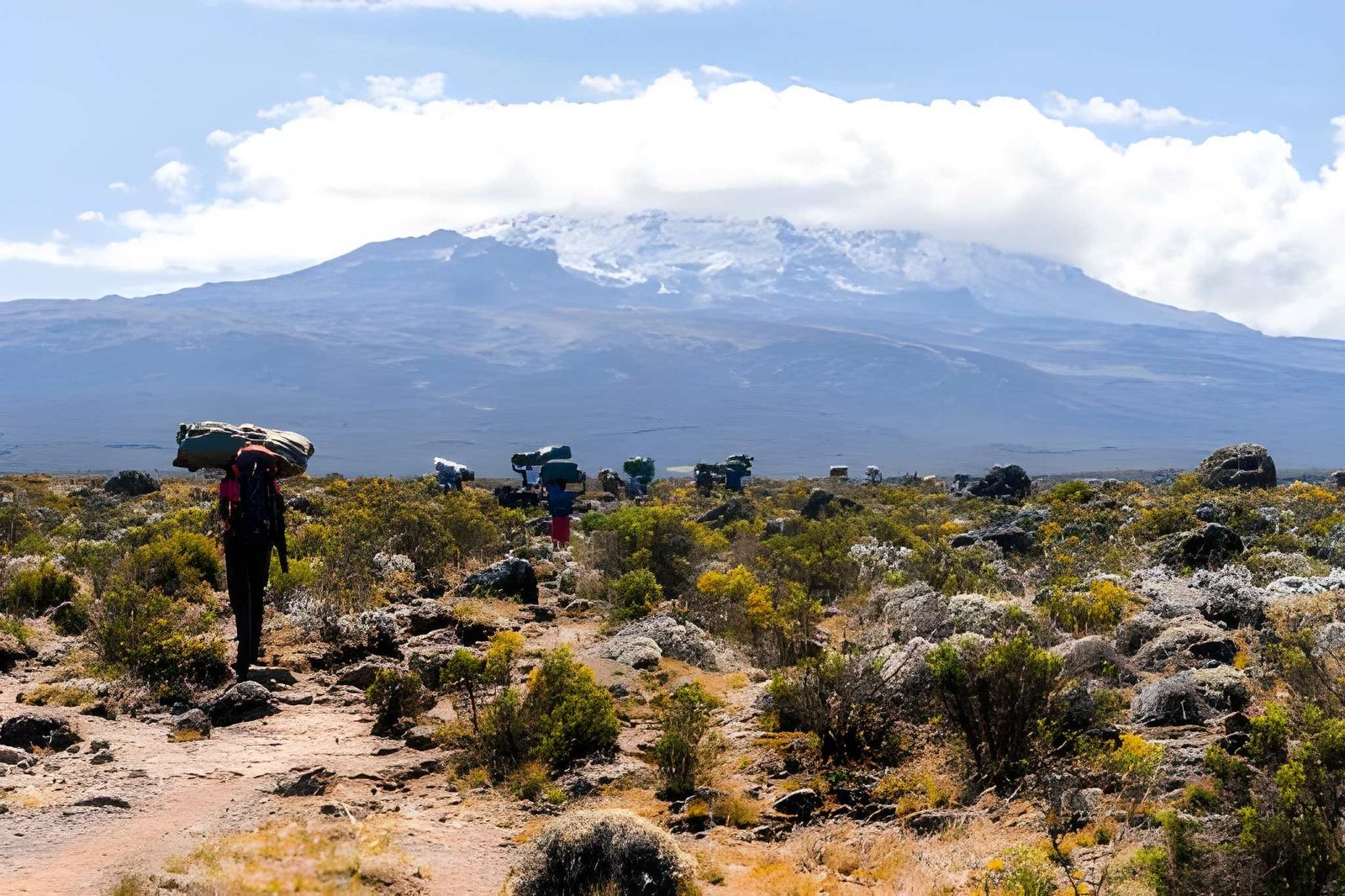 A hiker walking through a vast, dry alpine landscape with snow-capped Mount Kilimanjaro in the background.