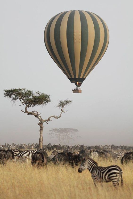 6-Day Tanzania Fly in Migration Tour