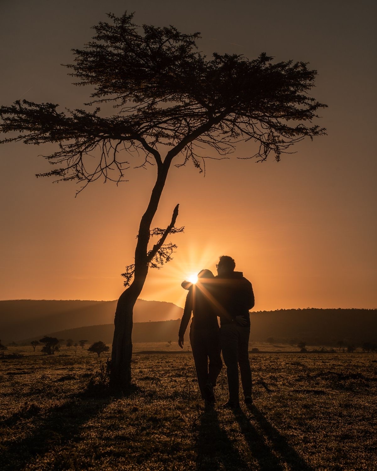 3-Day Luxury Safari from Zanzibar with Walking Safari