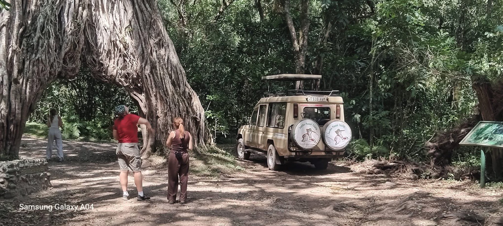 1-Day Full Game Drive - Ngorongoro Crater