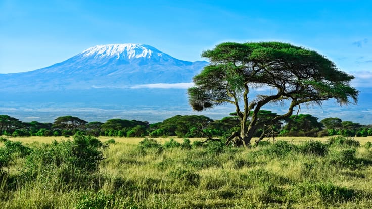 8-Day Conquer Kilimanjaro - the Scenic Machame Route
