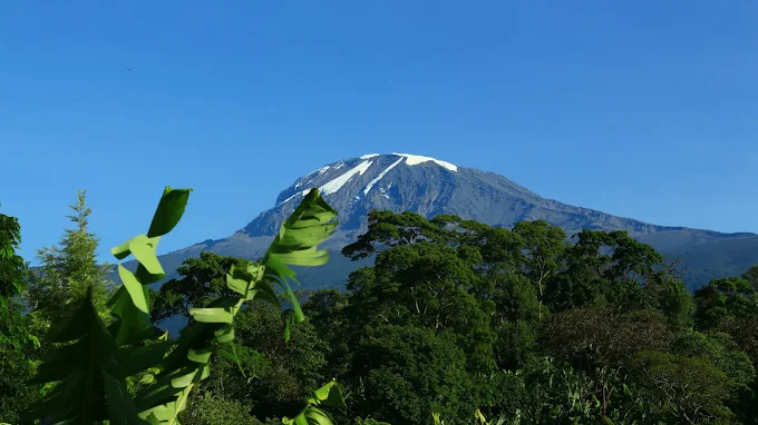 5-Day Climbing Kilimanjaro Trekking Rongai Route