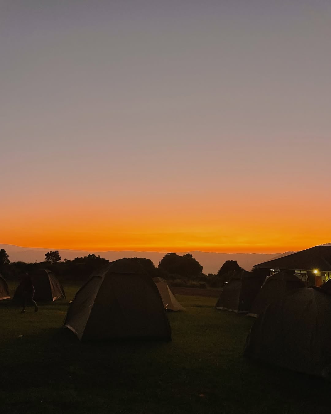 Discover the Magic of Tanzania: Why Right Now Is the Ultimate Time for Your East African Safari & Kilimanjaro Adventure
