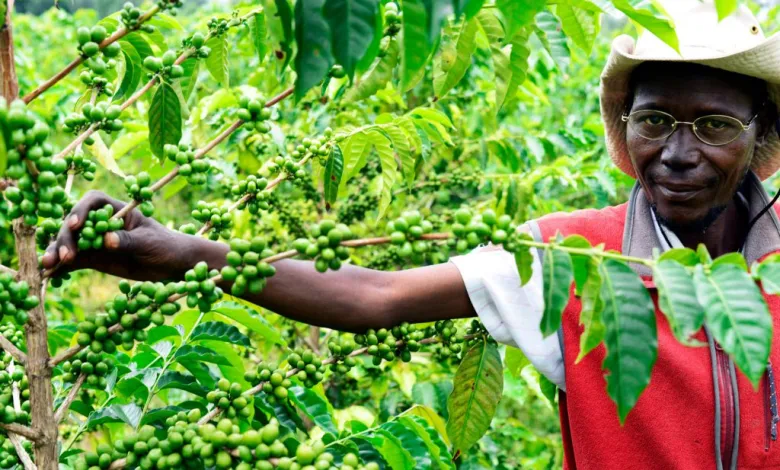 A-coffee-farmer.-Internet-photo