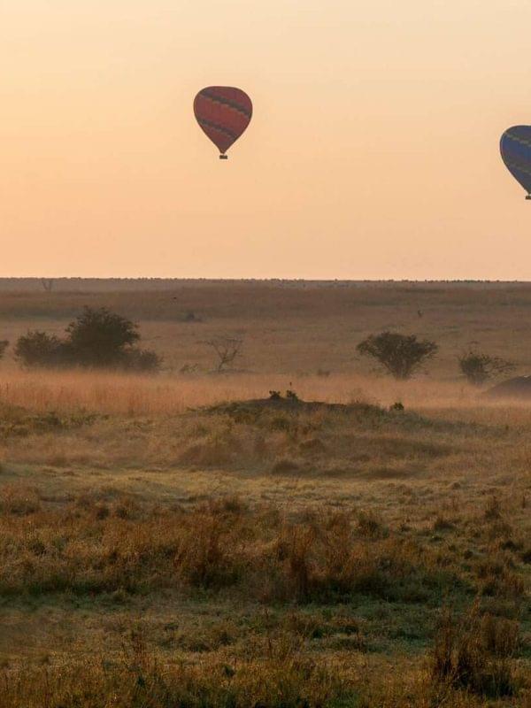 Image-15-GettyImages-487930015