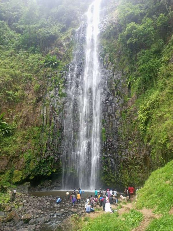 WhatsApp Image 2023-03-18 at 14.17.50