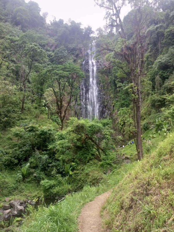 WhatsApp Image 2023-03-18 at 14.17.51