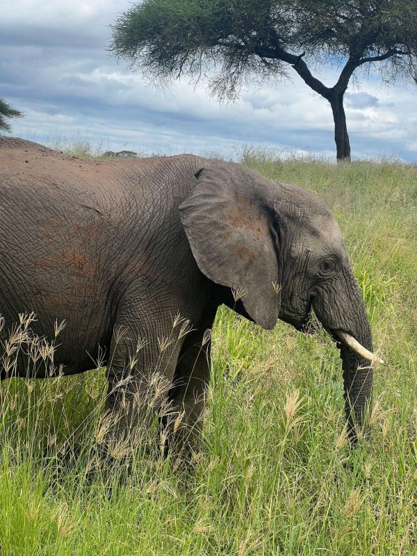 WhatsApp Image 2025-09-06 at 11.43.15 (23)