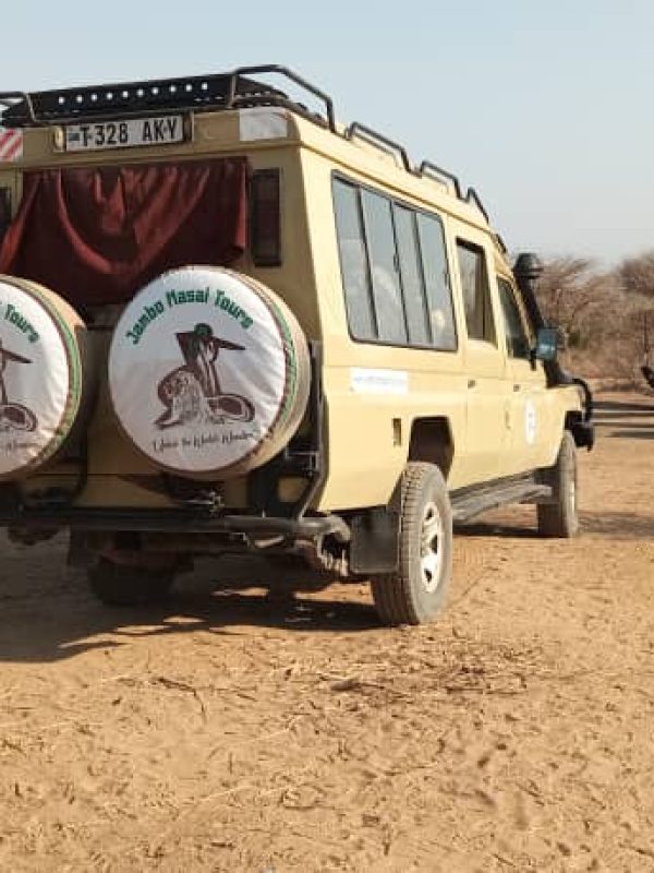 WhatsApp Image 2025-09-29 at 11.19.51