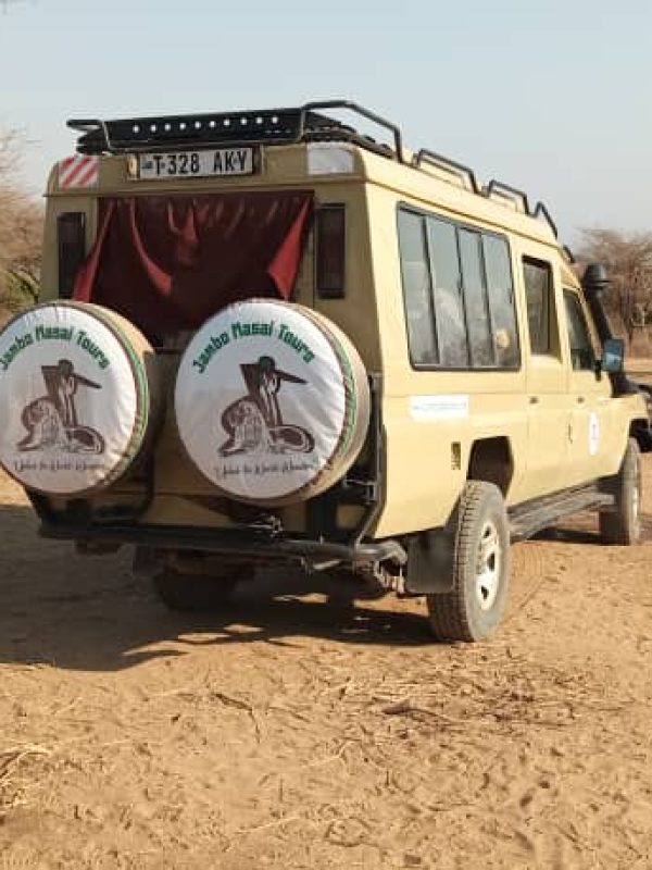 WhatsApp Image 2025-09-29 at 11.20.02