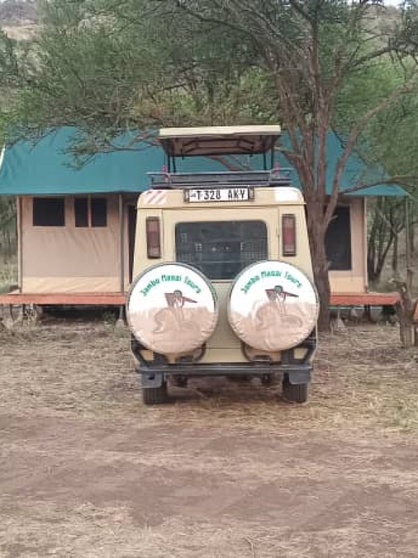 WhatsApp Image 2025-09-29 at 11.24.52