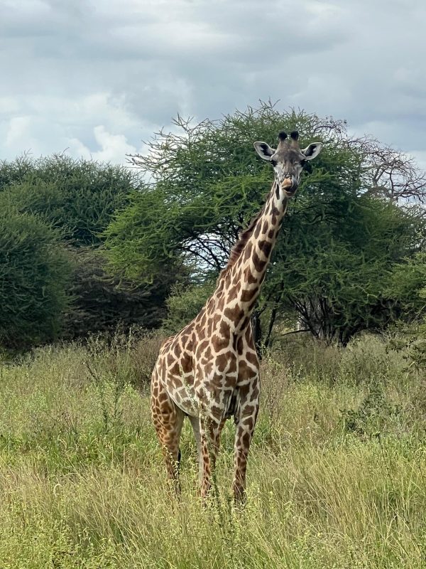 WhatsApp Image 2025-10-02 at 23.00.42 (9)