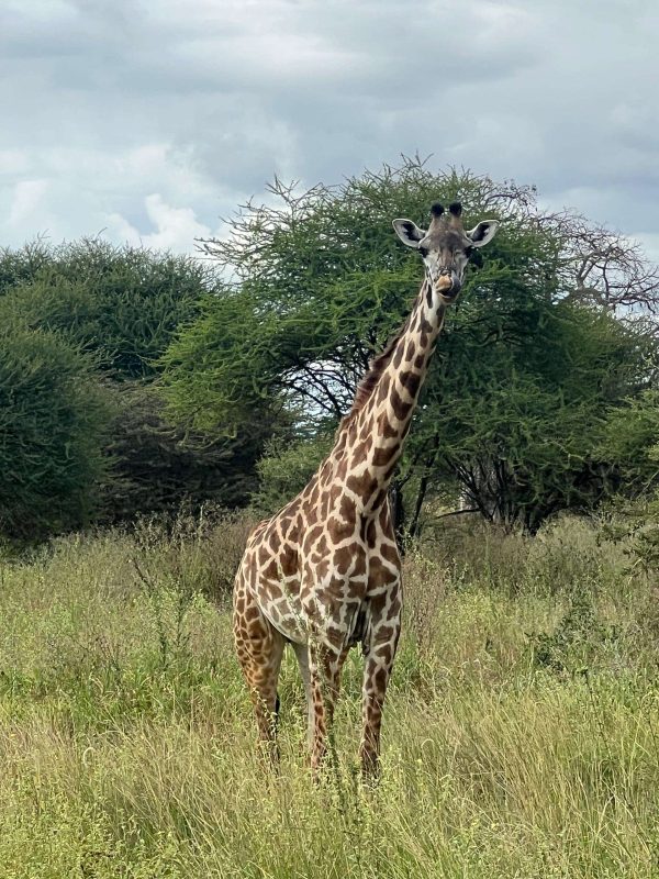 WhatsApp Image 2025-10-02 at 23.00.42 (9)