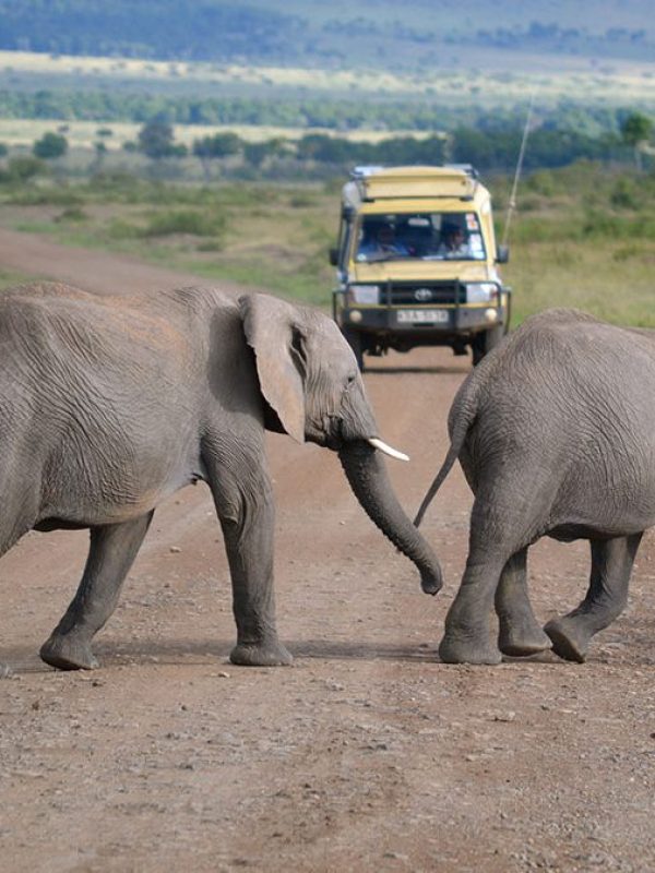kenya safari