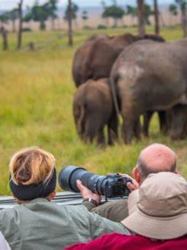 kenya safaris