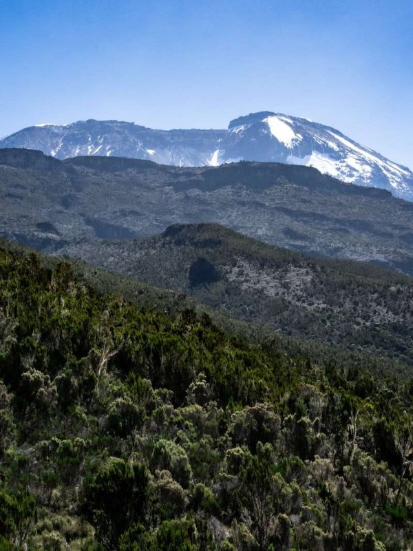 Photo by Daniel Vargas