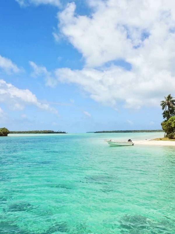 white boat on body of water near green palm trees