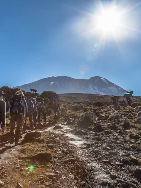 shutterstock_728647747-1